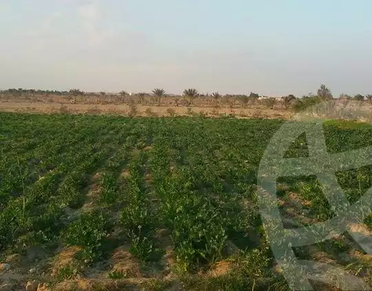https://aqarmap.com.eg/ar/listing/4315658-for-sale-el-fayoum
