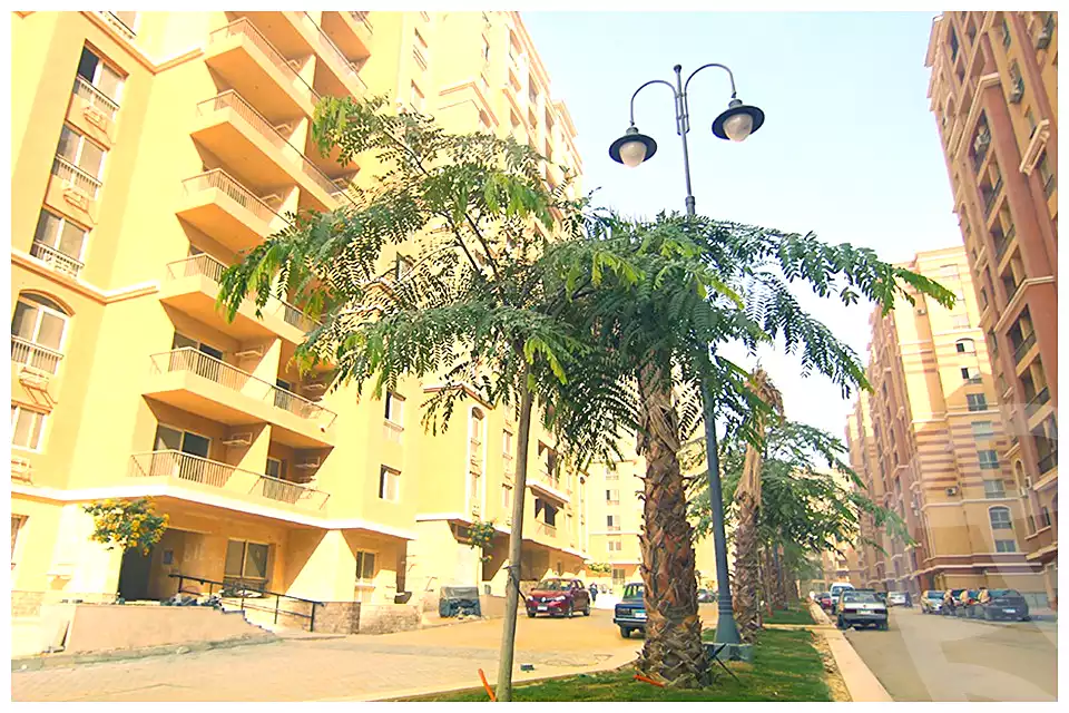 https://aqarmap.com.eg/en/listing/1981866-projects-maadi-gardens