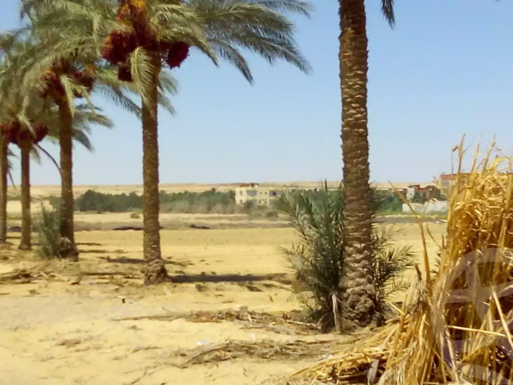 https://aqarmap.com.eg/en/listing/2160066-for-sale-el-fayoum-sinnuris-monshat-snours