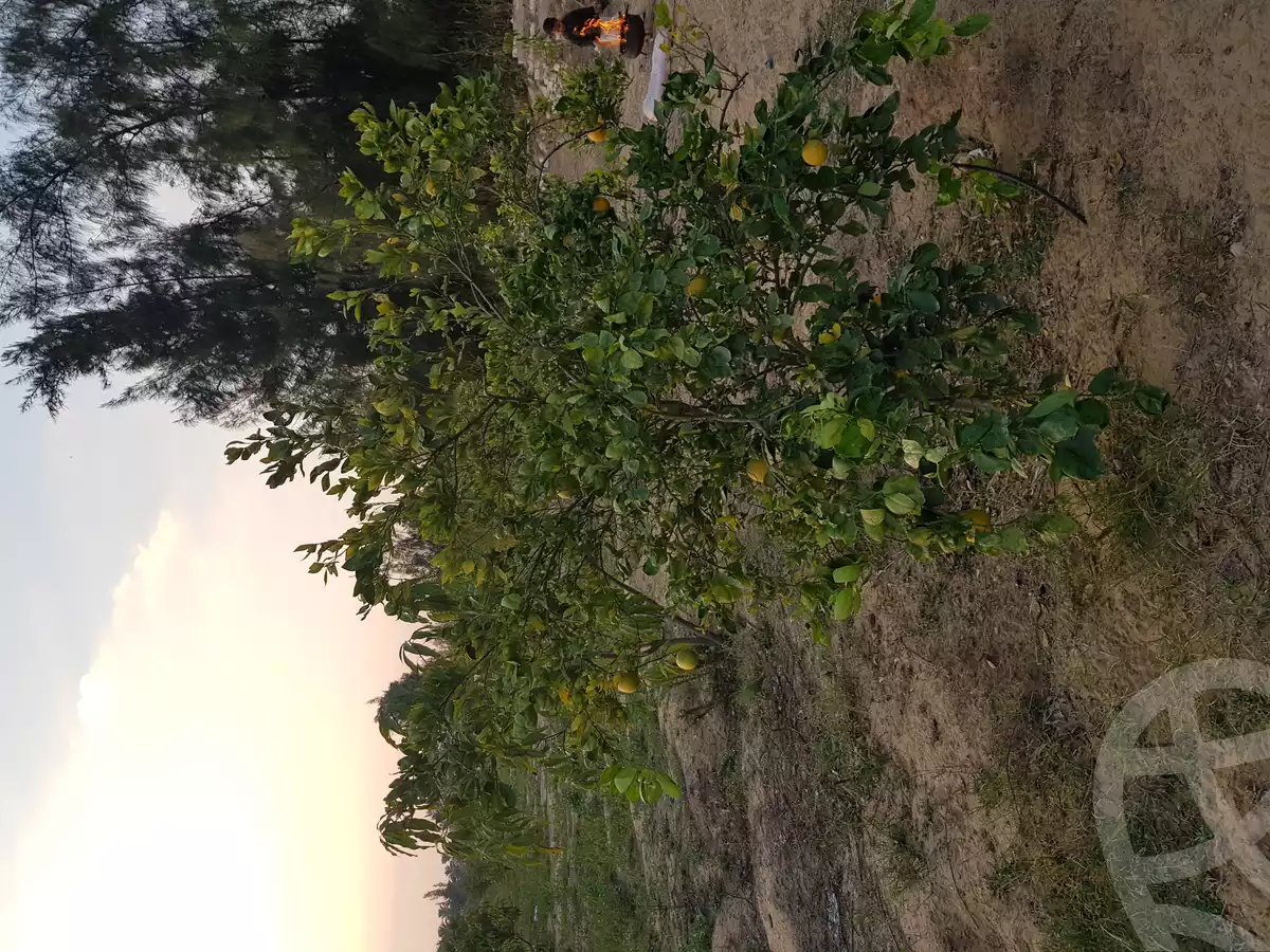 https://aqarmap.com.eg/ar/listing/2759550-for-sale-land-or-farm-ismailia