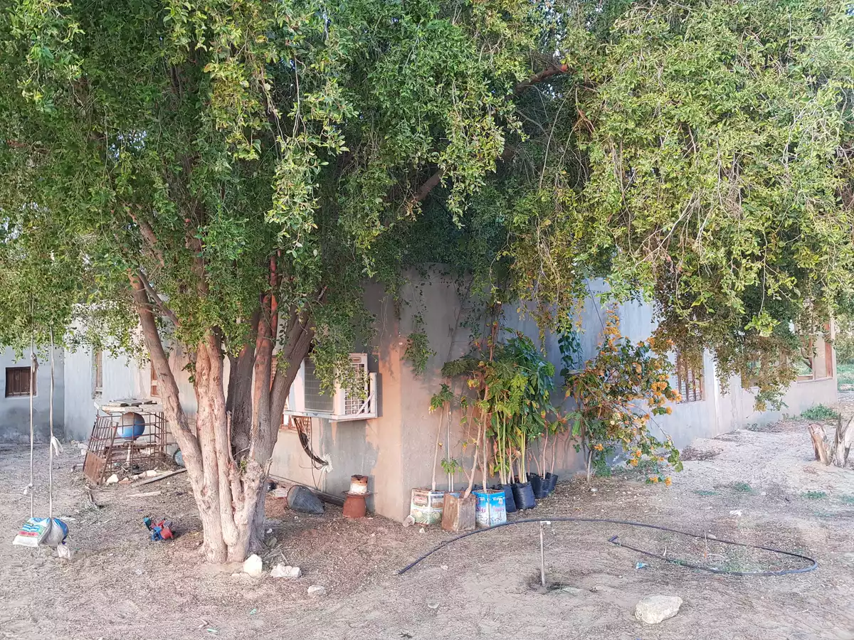 https://aqarmap.com.eg/ar/listing/2759550-for-sale-land-or-farm-ismailia