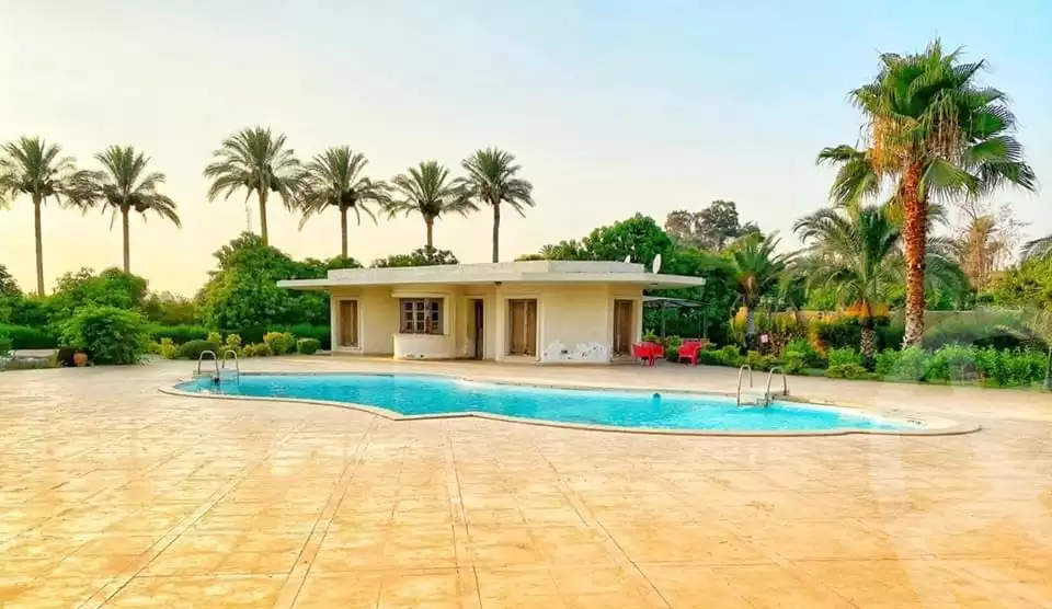 https://aqarmap.com.eg/ar/listing/3744589-for-sale-cairo-el-mansuriyyah