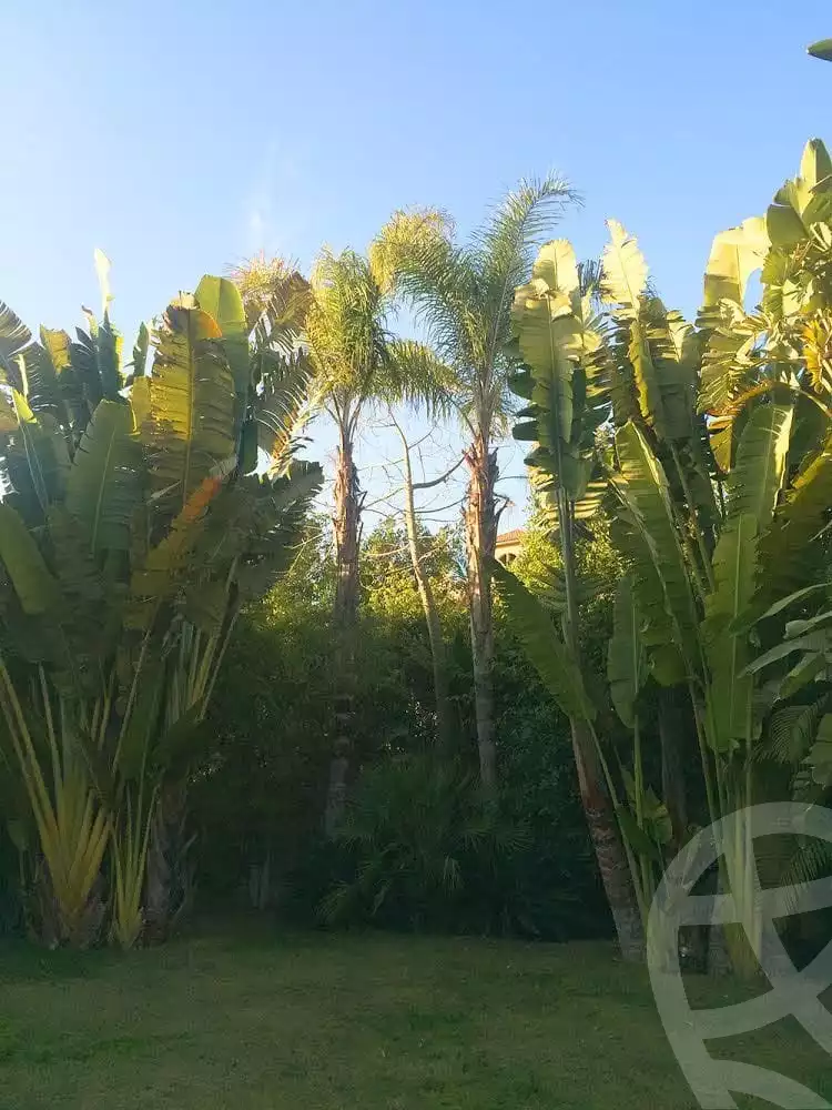 https://aqarmap.com.eg/ar/listing/2699157-for-sale-villa-cairo-new-cairo