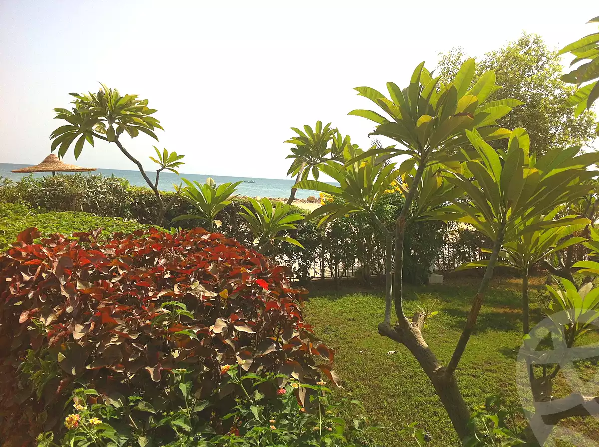 https://aqarmap.com.eg/ar/listing/2839339-projects-canary-beach