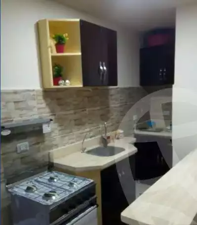 https://aqarmap.com.eg/en/listing/4069079-for-rent-red-sea-hy-lkwthr
