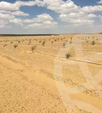 https://aqarmap.com.eg/en/listing/4062411-for-sale-qalyubia-el-khsos-el-khosos-city