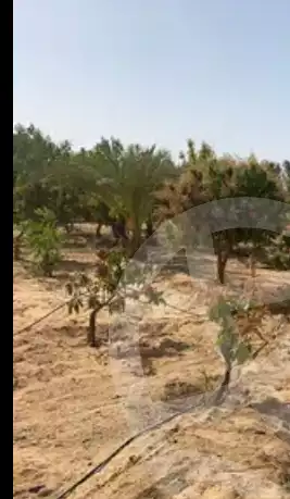 https://aqarmap.com.eg/en/listing/3428328-for-sale-cairo-el-sheikh-zayed-city-lshykh-zyd-ljdyd-el-reef-el-oroby