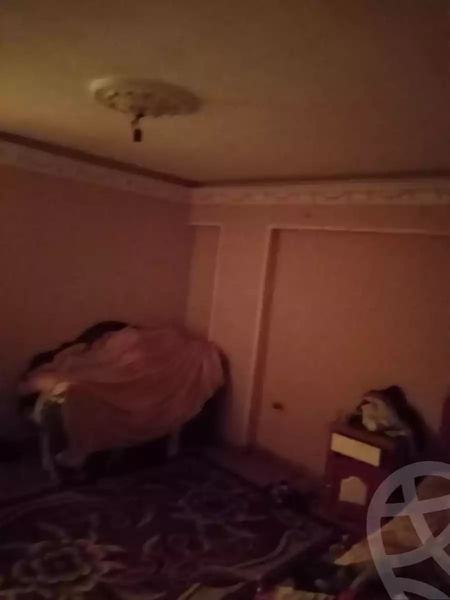 https://aqarmap.com.eg/en/listing/3893114-for-sale-alexandria-miami-iskandar-ibrahim-st