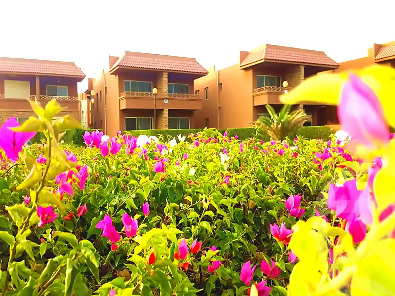 https://aqarmap.com.eg/ar/listing/3501437-for-sale-ain-elsokhna-ain-sokhna-resorts-malibu