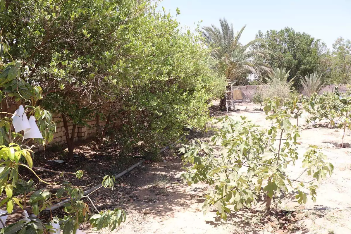 https://aqarmap.com.eg/ar/listing/3888070-for-sale-cairo-alex-cairo-desert-road-kmbwnd-fy-tryq-skndry-lshrwy-el-reef-el-oroby