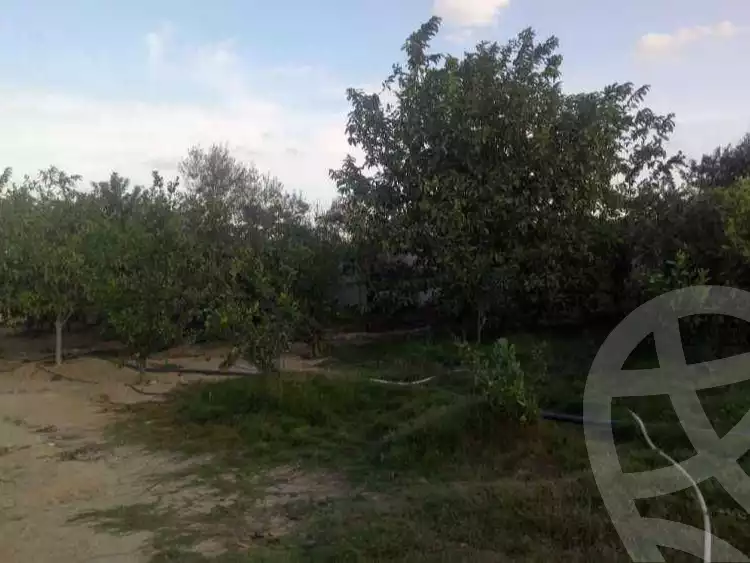 https://aqarmap.com.eg/en/listing/3887673-for-sale-ismailia-abu-sweer