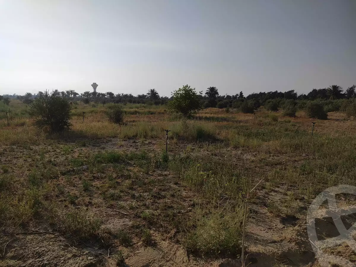 https://aqarmap.com.eg/ar/listing/4293224-for-sale-el-fayoum-yousef-el-sedeeq-yousef-el-sedeeq-city