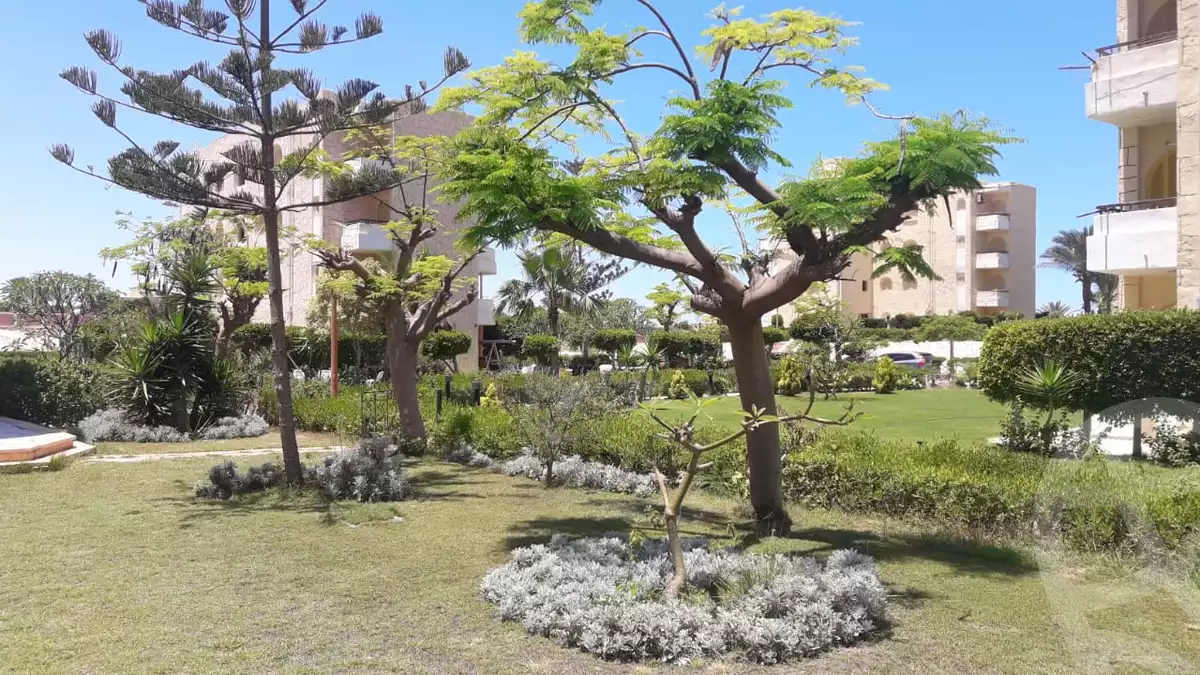 https://aqarmap.com.eg/ar/listing/3674275-for-sale-north-coast-sidi-kirayr