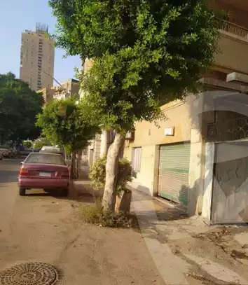https://aqarmap.com.eg/en/listing/3682371-for-sale-cairo-manial-kwrnysh-lmnyl