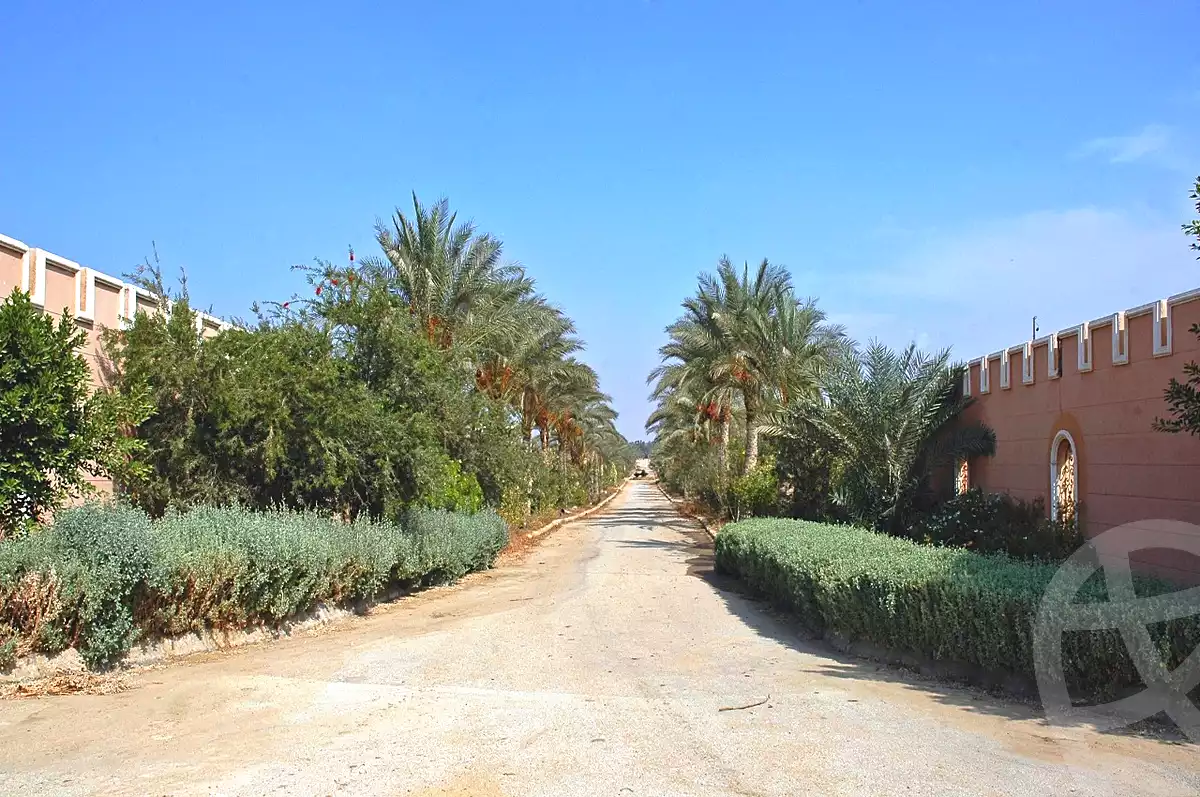 https://aqarmap.com.eg/ar/listing/3829917-for-sale-cairo-alex-cairo-desert-road-mdyn-sfnks-ljdyd