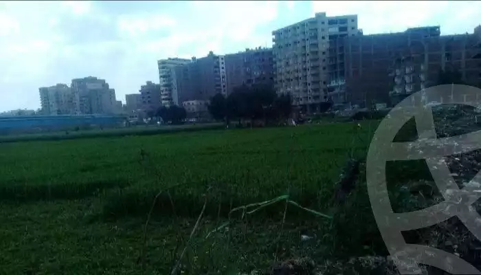 https://aqarmap.com.eg/en/listing/3830805-for-rent-cairo-faisal-el-matbeaa