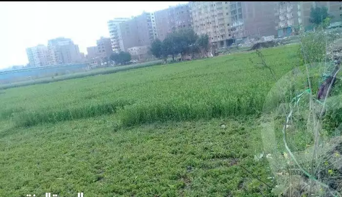 https://aqarmap.com.eg/en/listing/3830805-for-rent-cairo-faisal-el-matbeaa
