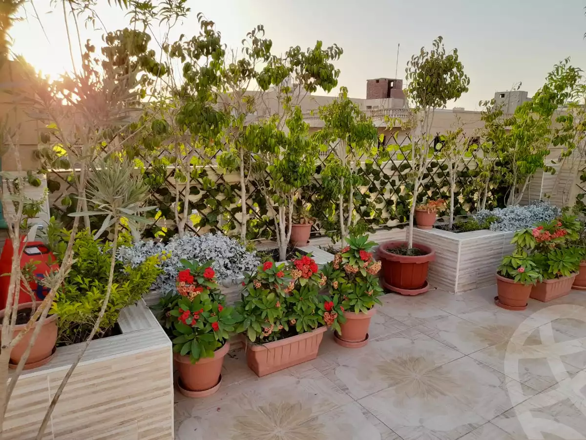 https://aqarmap.com.eg/ar/listing/3855294-for-sale-cairo-hdyq-lhrm--bwb-hms
