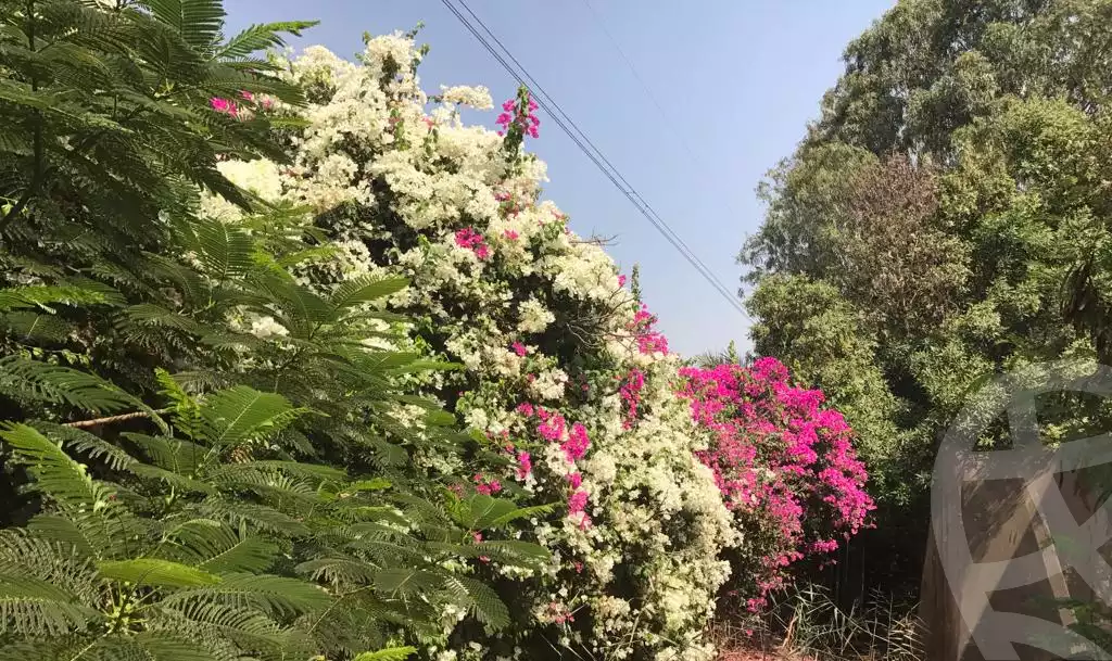 https://aqarmap.com.eg/ar/listing/3862589-for-sale-cairo-other-neighborhoods-in-greater-cairo