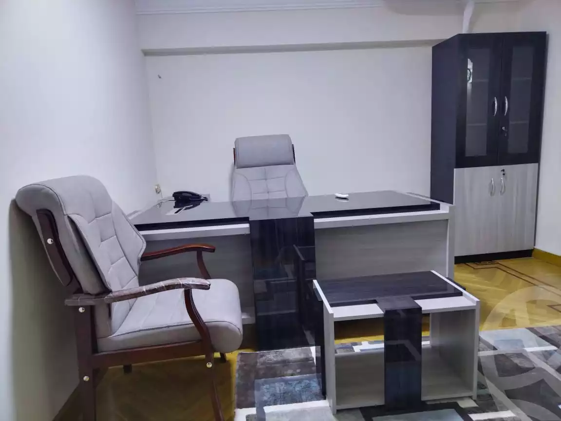 https://aqarmap.com.eg/en/listing/3888271-for-rent-cairo-nasr-city-abbas-el-akkad