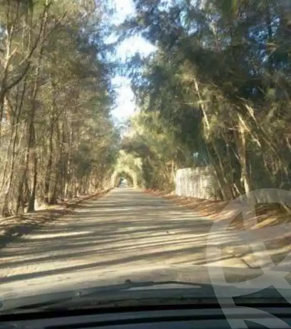 https://aqarmap.com.eg/ar/listing/3889101-for-sale-beheira-wadi-el-natrun-bany-salama