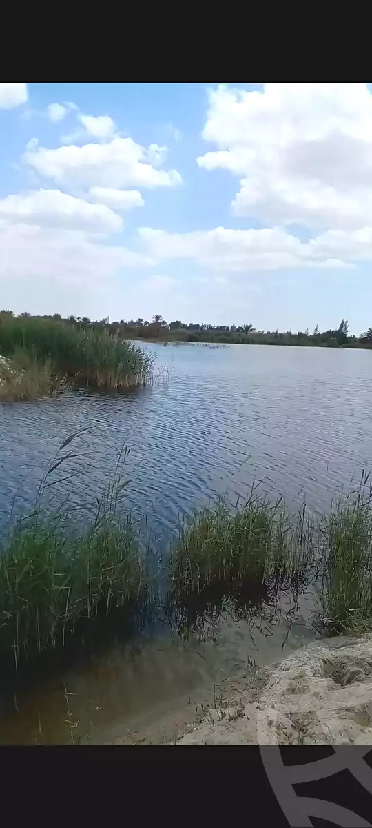 https://aqarmap.com.eg/ar/listing/4510711-for-sale-ismailia