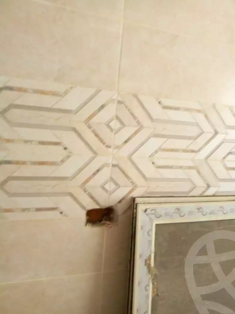 https://aqarmap.com.eg/en/listing/4348679-for-rent-cairo-al-oubour-tryq-msr-sm-yly-lshrwy-moon-city