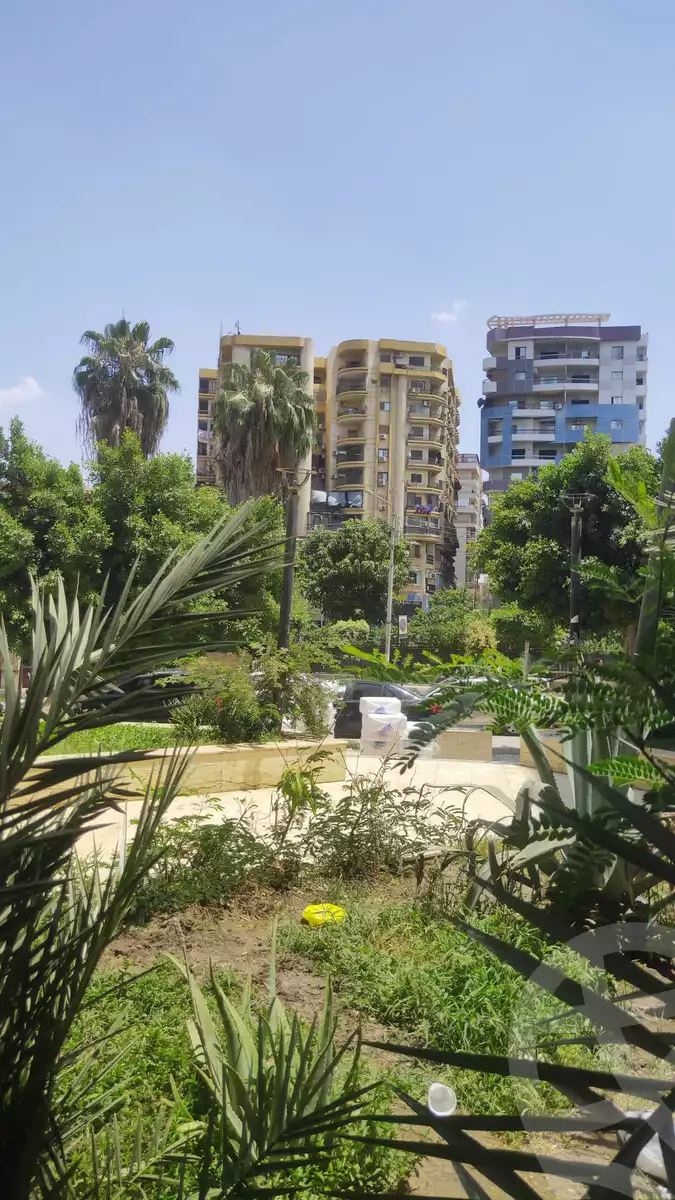 https://aqarmap.com.eg/en/listing/4042670-for-sale-sharqia-zagazig-zagazig-city-talaat-harb-st
