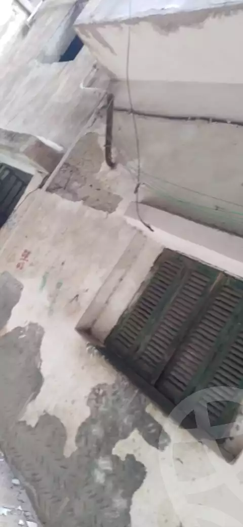https://aqarmap.com.eg/en/listing/3998597-for-sale-dakahlia-mansoura-zb-lshl-el-gaish-st