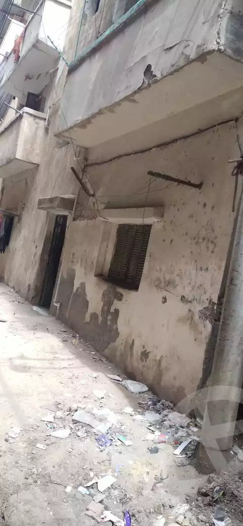 https://aqarmap.com.eg/en/listing/3998597-for-sale-dakahlia-mansoura-zb-lshl-el-gaish-st