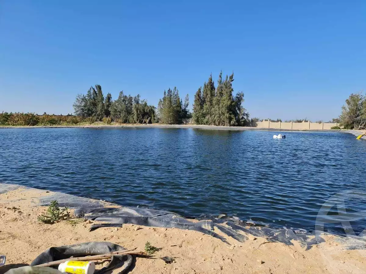 https://aqarmap.com.eg/en/listing/3836807-for-sale-ismailia-abu-sweer