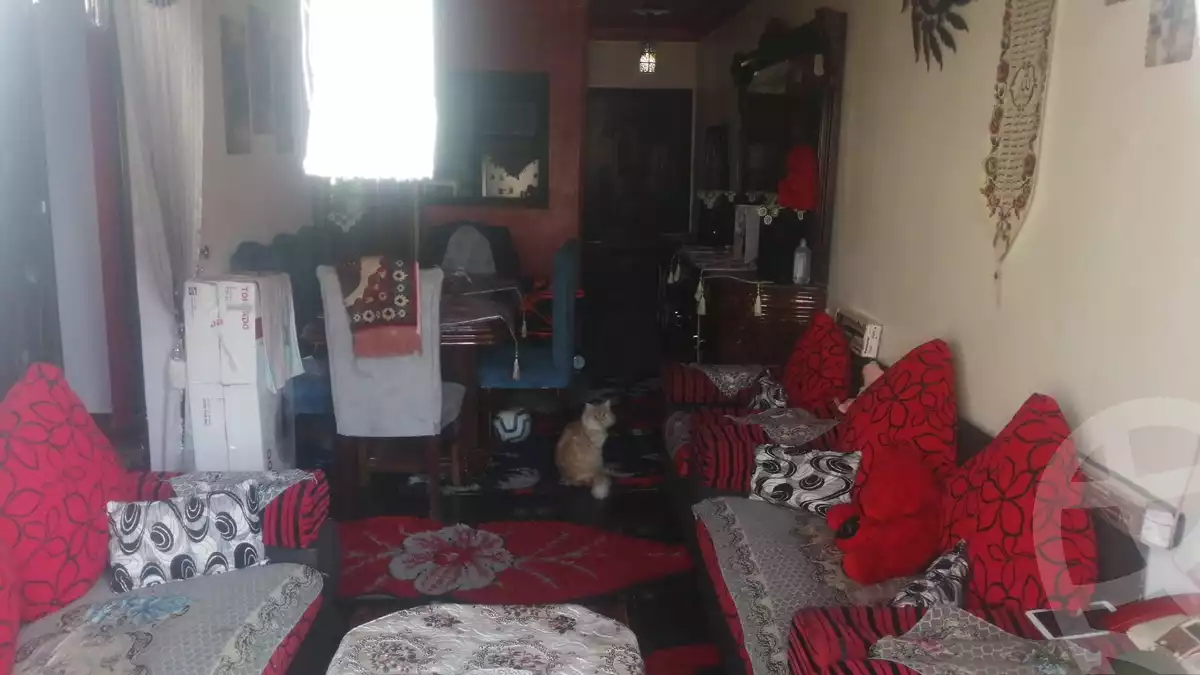 https://aqarmap.com.eg/ar/listing/4039784-for-sale-alexandria-el-hanouvel-gabir-hafez-st