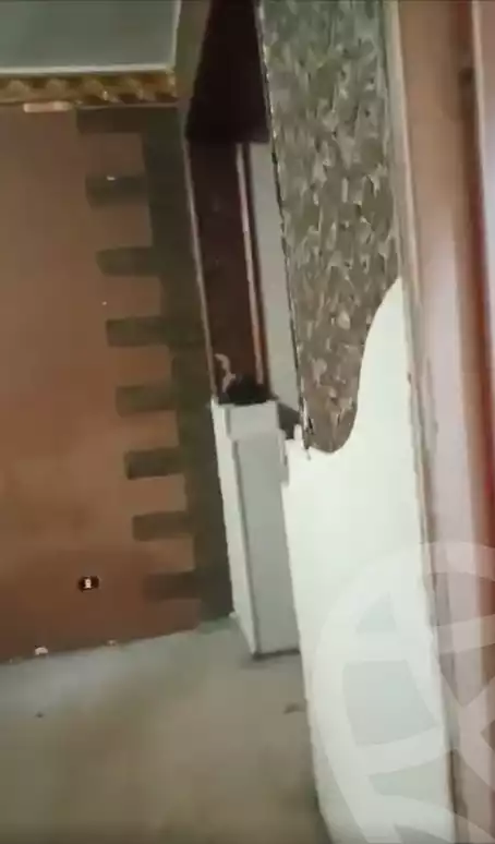 https://aqarmap.com.eg/en/listing/4040698-for-rent-cairo-el-agouza-ard-el-lewa