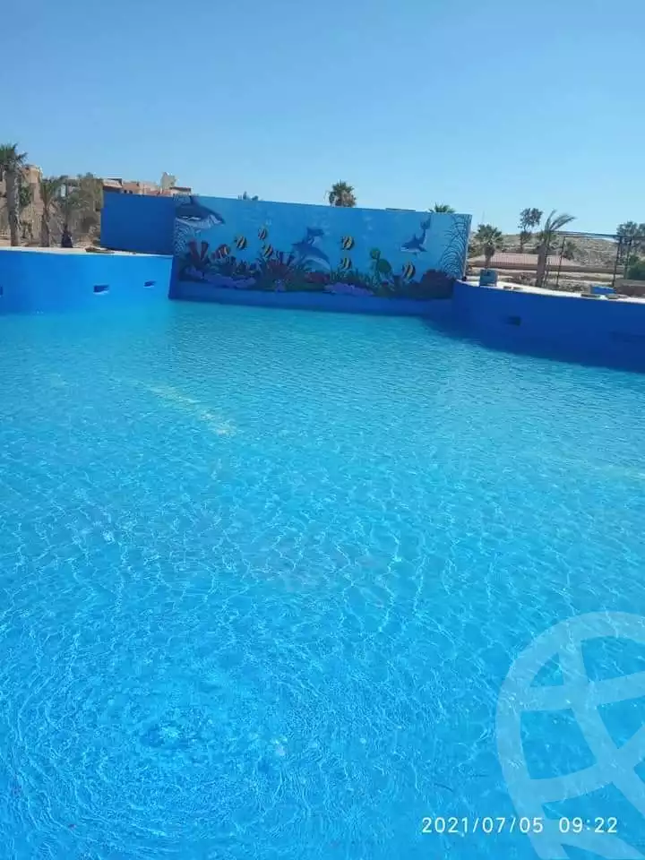 https://aqarmap.com.eg/en/listing/4082660-for-rent-marsa-matruh-marsa-matrouh-city