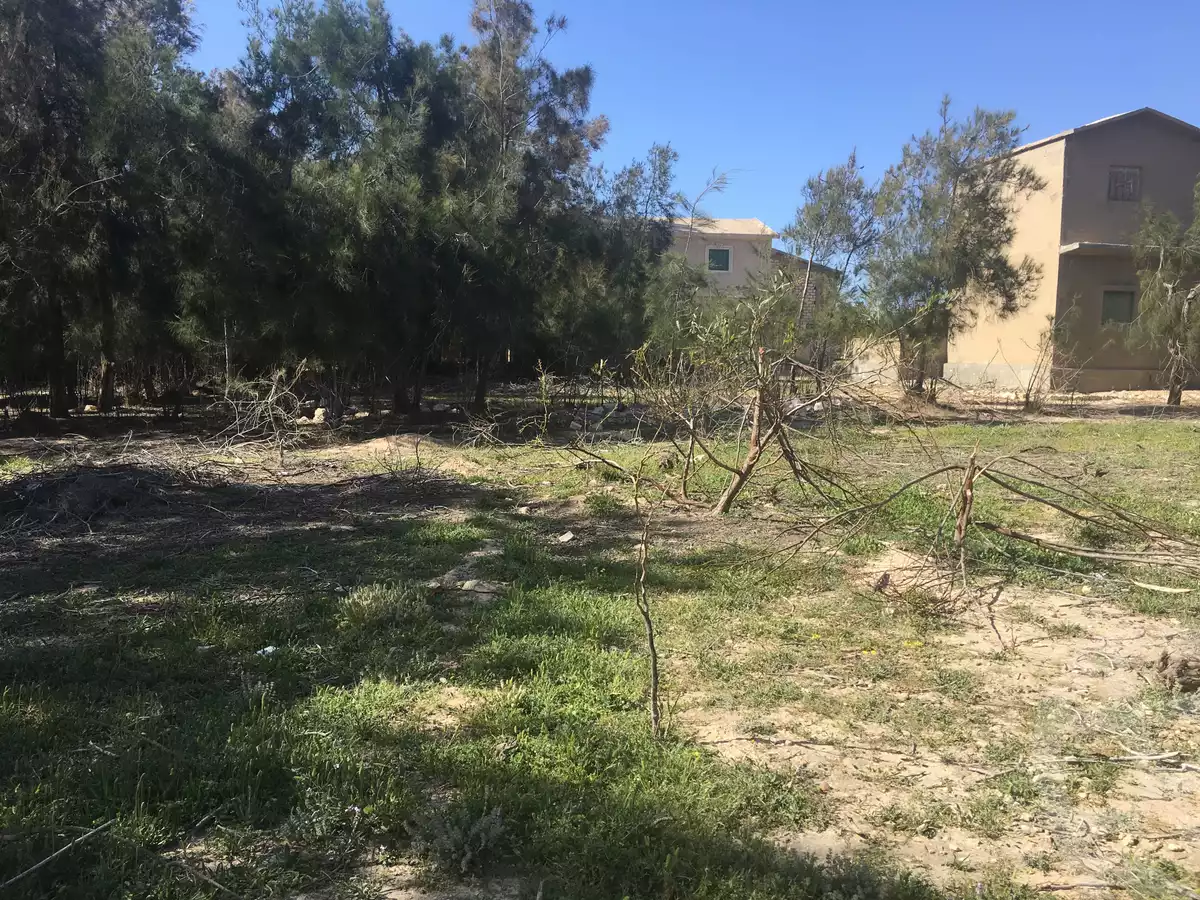 https://aqarmap.com.eg/ar/listing/4102082-for-sale-mohamed-rashid-st