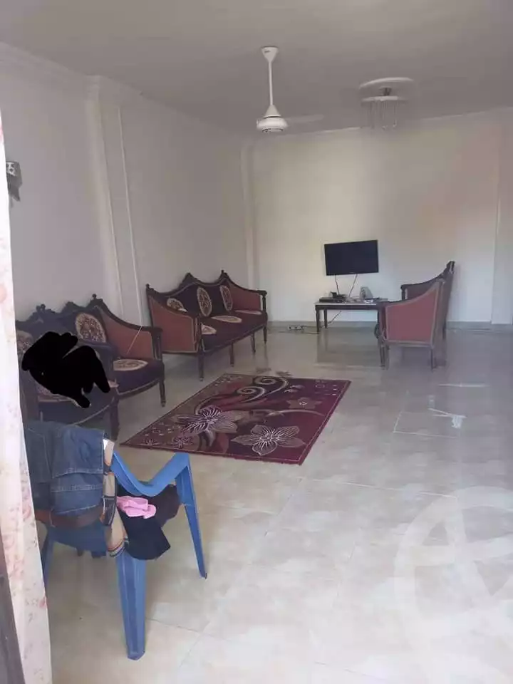 https://aqarmap.com.eg/en/listing/4111713-for-rent-alexandria-miami-khld-bn-lwlyd