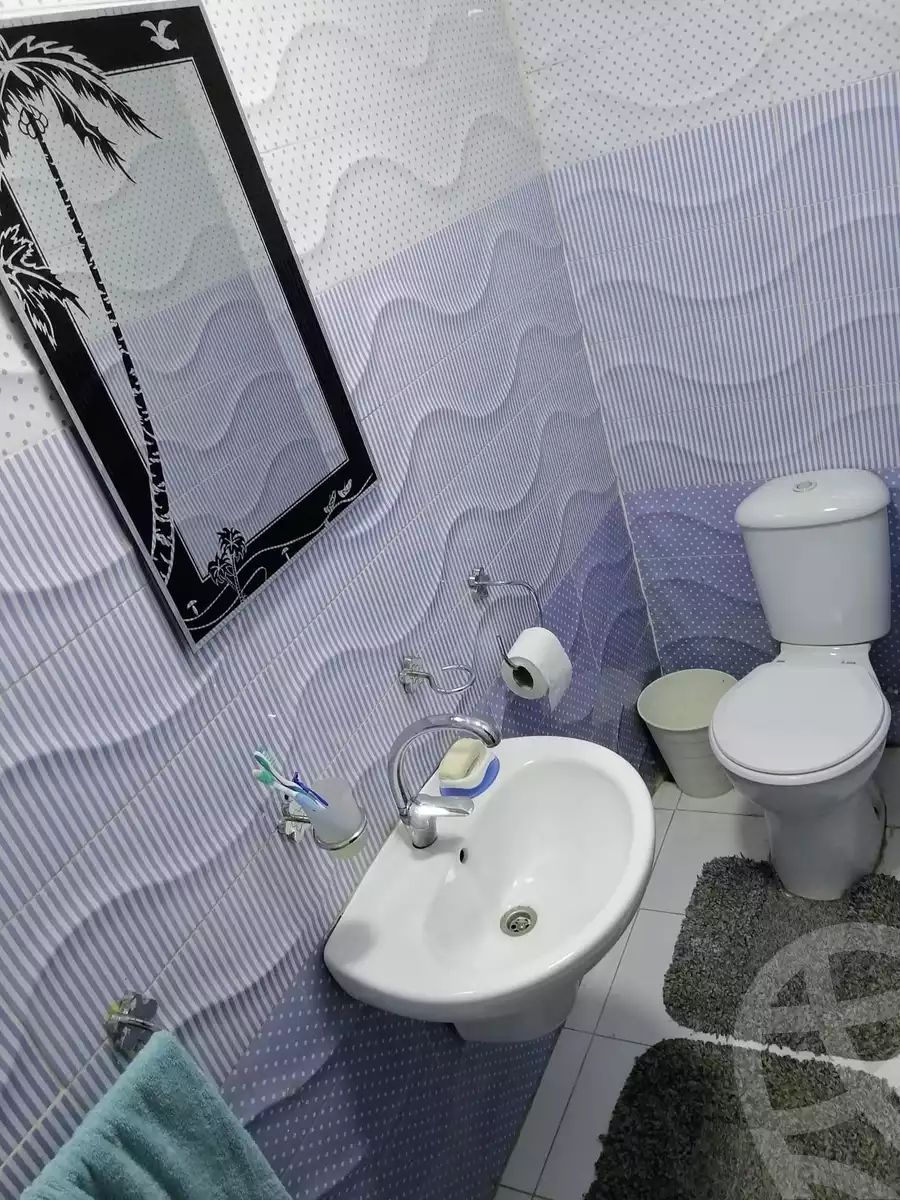 https://aqarmap.com.eg/en/listing/4123501-for-rent-cairo-nasr-city-el-nadi-el-ahli-al-taqa-mohammed-mostafa-el-sayed-st