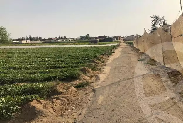https://aqarmap.com.eg/ar/listing/4134105-for-sale-gharbia-tanta-qaret-dfrah