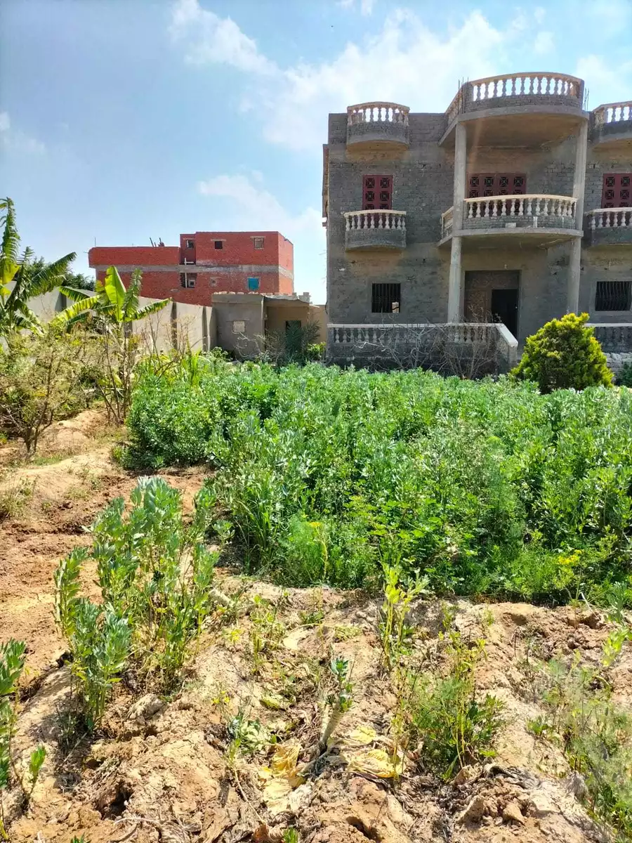 https://aqarmap.com.eg/ar/listing/4139120-for-sale-alexandria-borg-el-arab-el-zohour-st