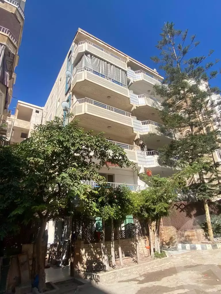 https://aqarmap.com.eg/en/listing/4145264-for-sale-alexandria-l-jmy-shataa-el-nakheel-octuber-al-nakhel-st