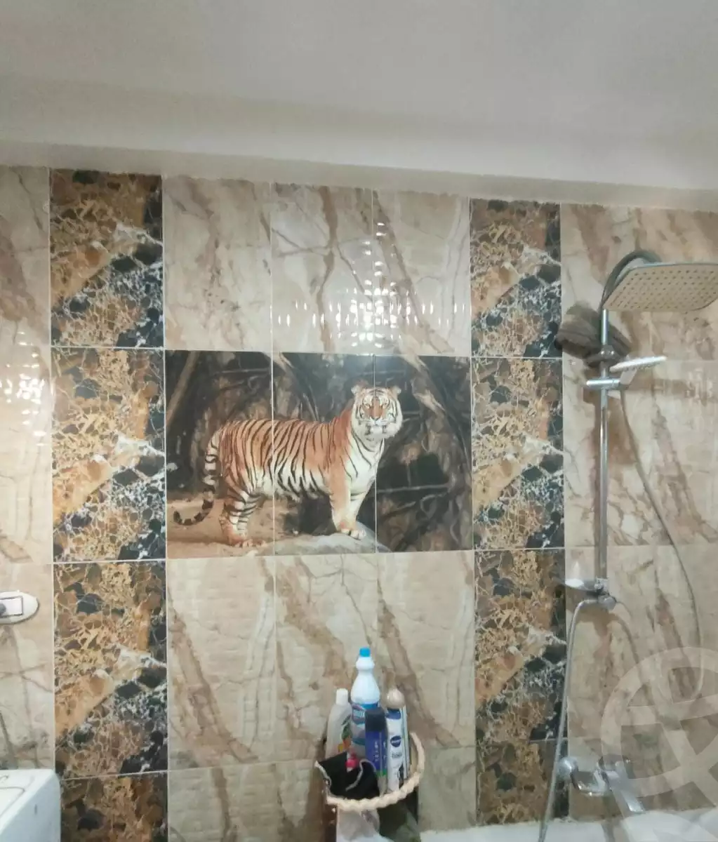 https://aqarmap.com.eg/en/listing/4151031-for-sale-alexandria-l-jmy-lbytsh-marouf-st