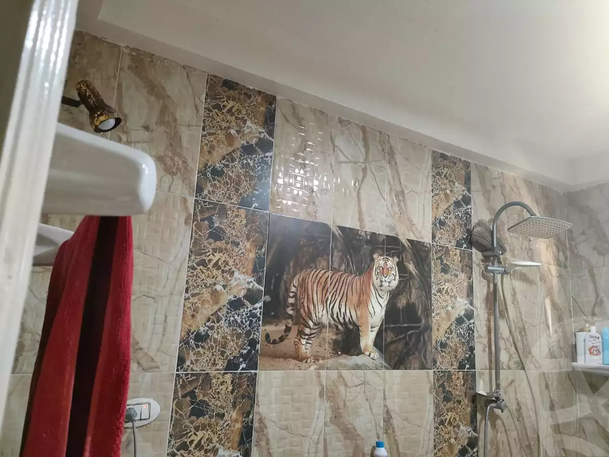 https://aqarmap.com.eg/en/listing/4151031-for-sale-alexandria-l-jmy-lbytsh-marouf-st