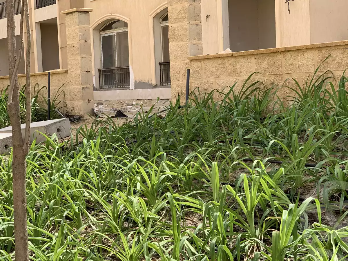 https://aqarmap.com.eg/en/listing/4155558-for-sale-cairo-new-cairo-compounds-stwn-ryzydns-by-ar-y-llttwyr