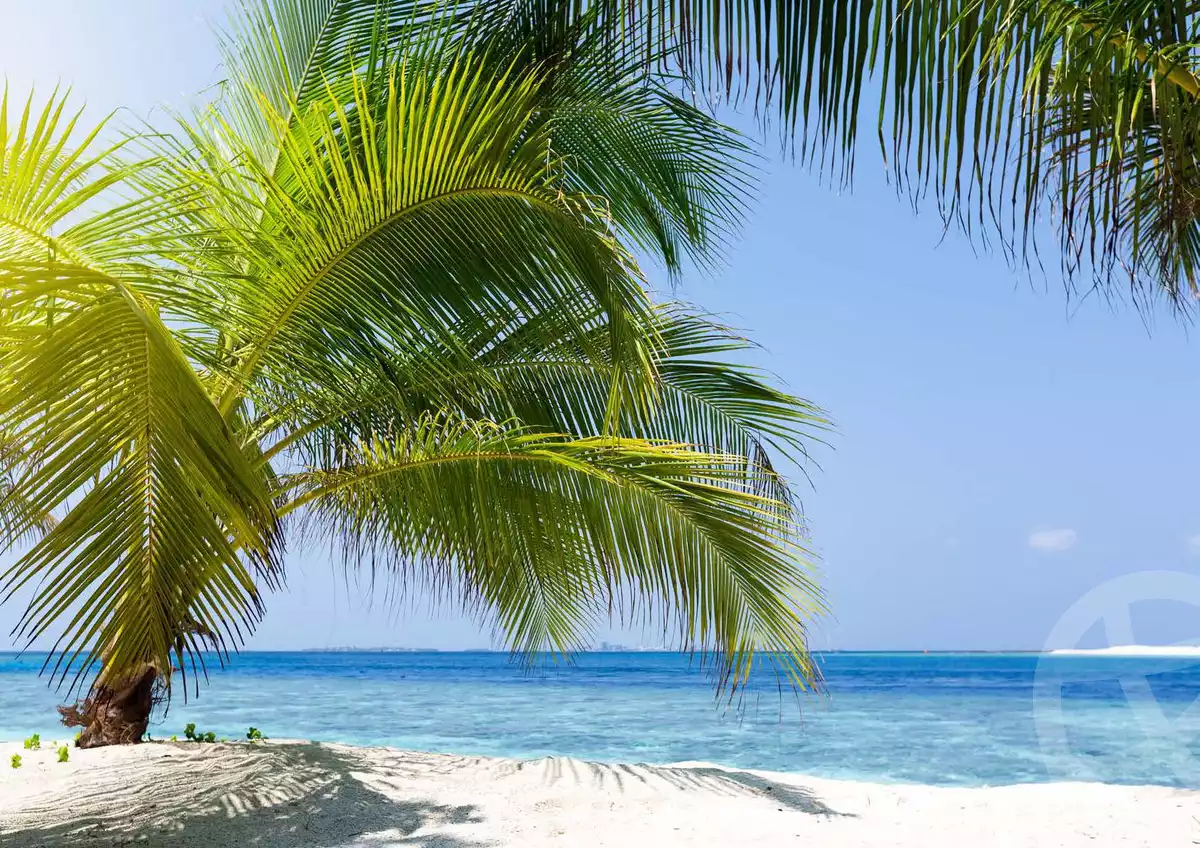 https://aqarmap.com.eg/ar/listing/4170188-for-sale-north-coast-resorts-kly-kwst-myfyn-llttwyr