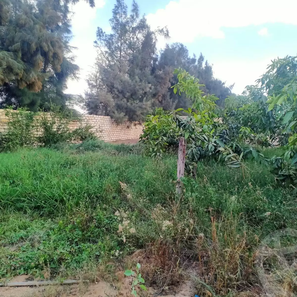 https://aqarmap.com.eg/ar/listing/4201156-for-sale-sharqia-bilbeis-el-salam