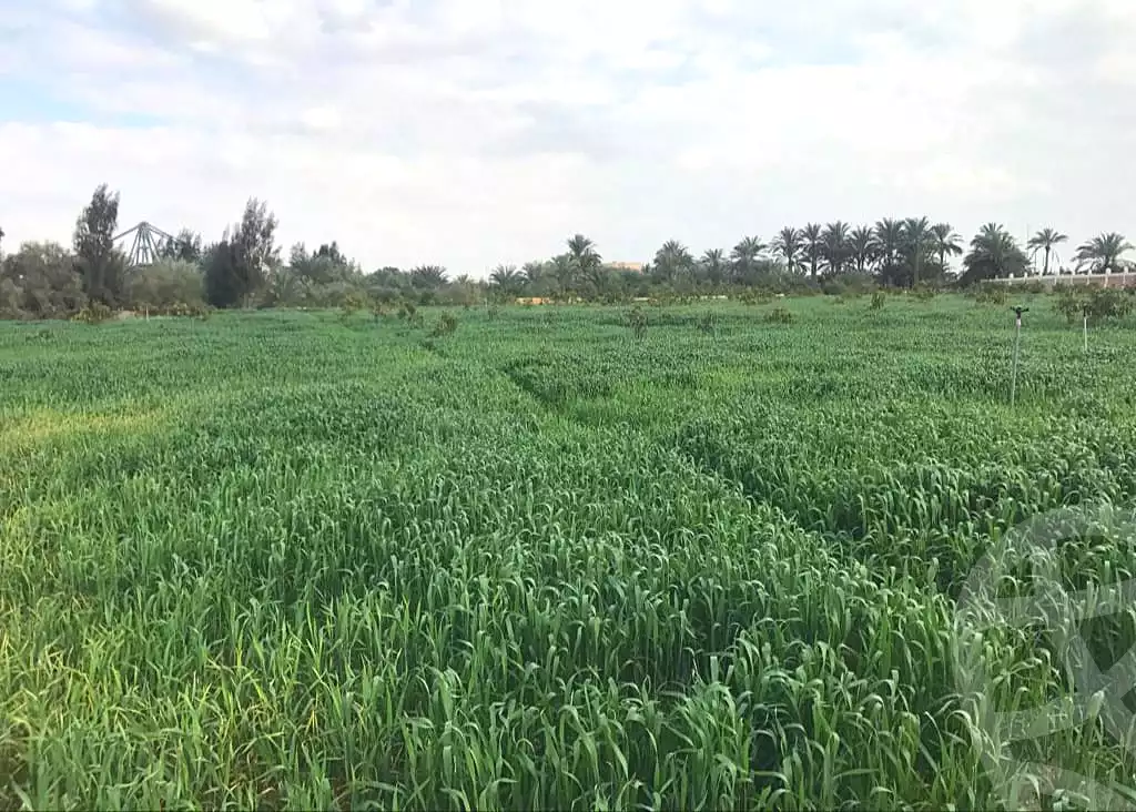 https://aqarmap.com.eg/ar/listing/6954114-for-sale-ismailia-ismailia-city-ismailia-city