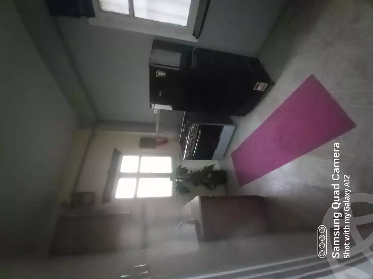 https://aqarmap.com.eg/en/listing/4245813-for-rent-cairo-manial-lmnyl-lshrqy