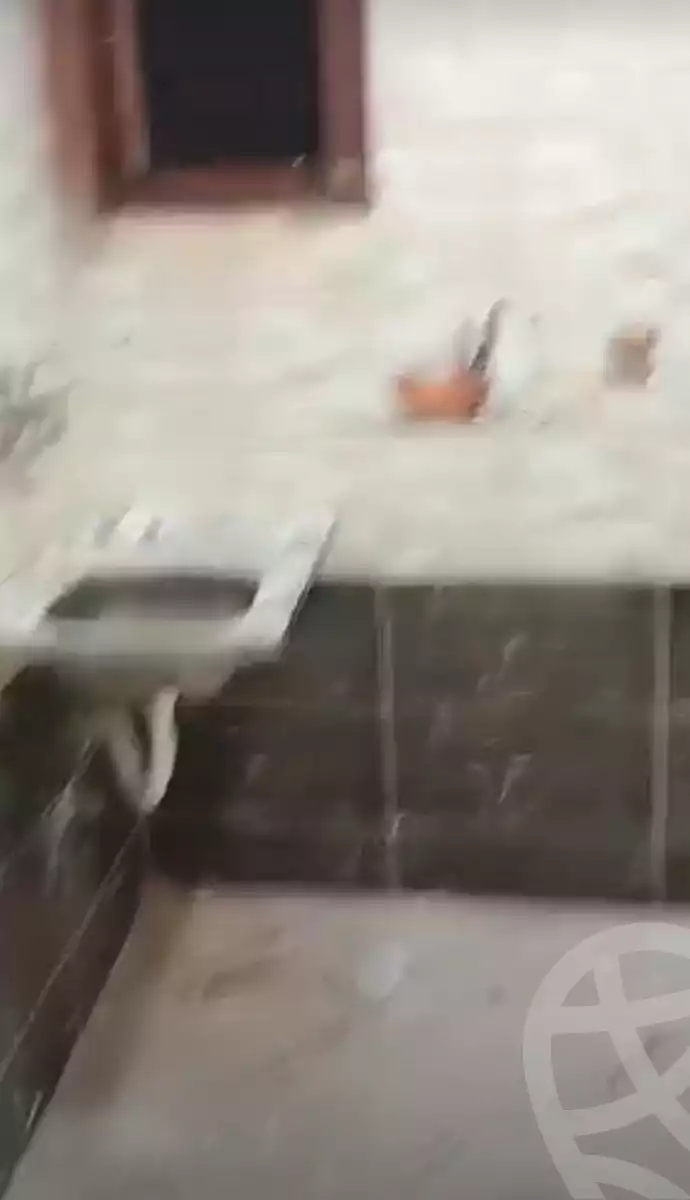 https://aqarmap.com.eg/en/listing/4305739-for-rent-cairo-el-marg-lmrj-lmrj-ljdyd