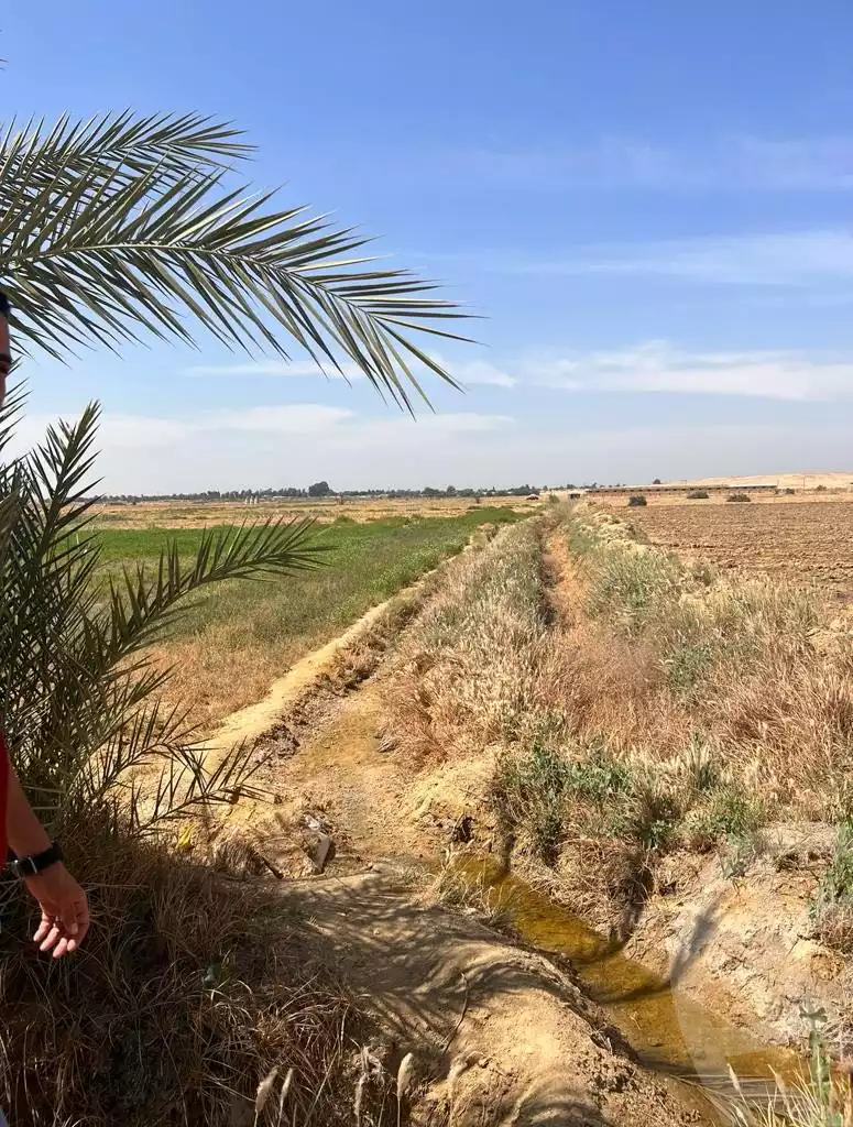 https://aqarmap.com.eg/ar/listing/4312131-for-sale-el-fayoum-tamiya-tamiyyah-city