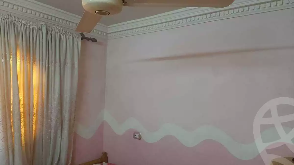 https://aqarmap.com.eg/ar/listing/4312973-for-sale-hassanein-desoky-st